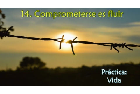 Comprometerse es fluir - Práctica: Vida