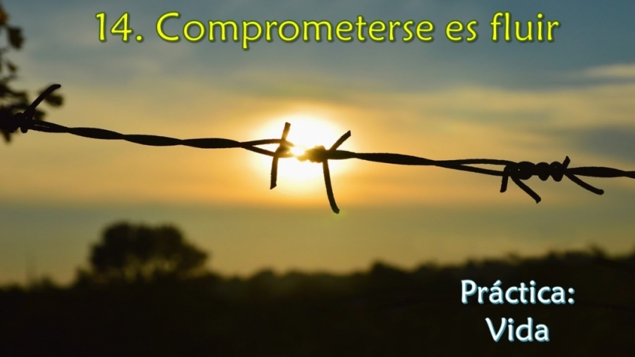 Imagen portada Comprometerse es fluir - Práctica: Vida