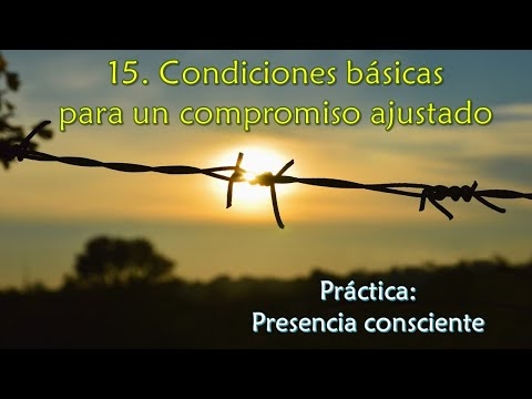 Imagen portada Condiciones básicas para un compromiso ajustado - Práctica: Presencia consciente