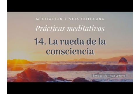 La rueda de la consciencia