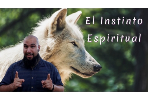INSTINTO ESPIRITUAL  Desbloquea el Verdadero Potencial de Tu Consciencia