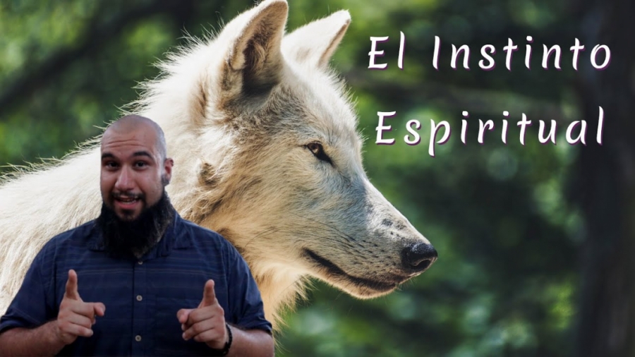 Imagen portada INSTINTO ESPIRITUAL  Desbloquea el Verdadero Potencial de Tu Consciencia