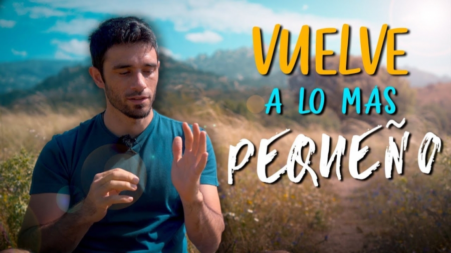 Imagen portada VUELVE a lo MÁS PEQUEÑO