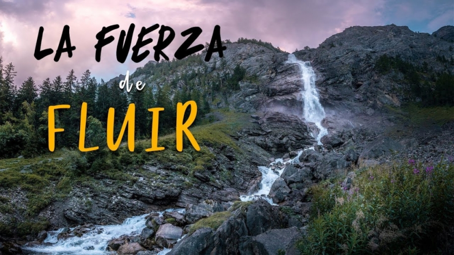 Imagen portada la FUERZA del FLUIR