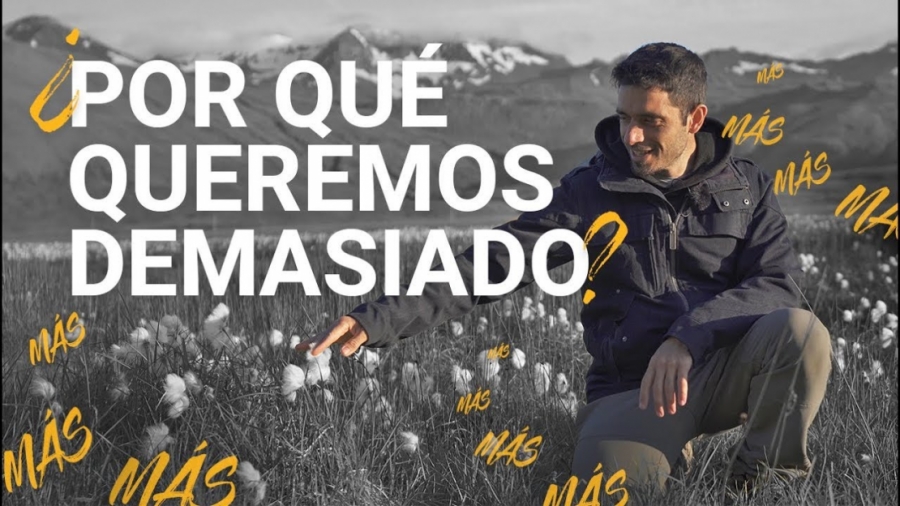 Imagen portada cuando NUNCA ES SUFICIENTE | origen de la AVARICIA