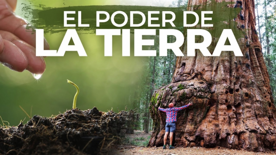 Imagen portada el PODER de la CONEXIÓN con la TIERRA