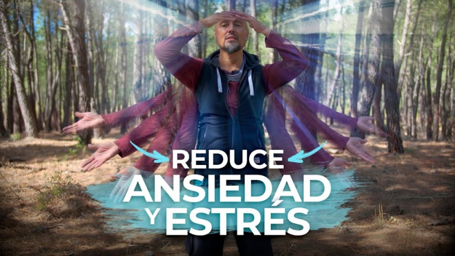 Imagen portada 5 Técnicas de RESPIRACIÓN para reducir ANSIEDAD y ESTRÉS