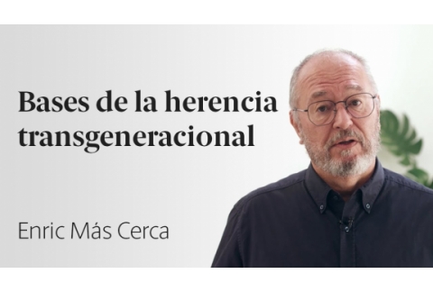 La culpabilidad de los padres (Parte 1)  Enric Más Cerca