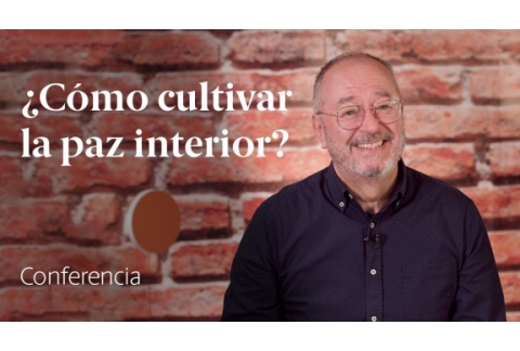 ¿Cómo cultivar la paz interior? ️ Recursos para recuperarla