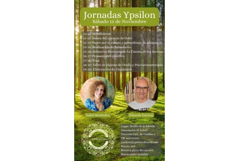 JORNADAS YPSILON