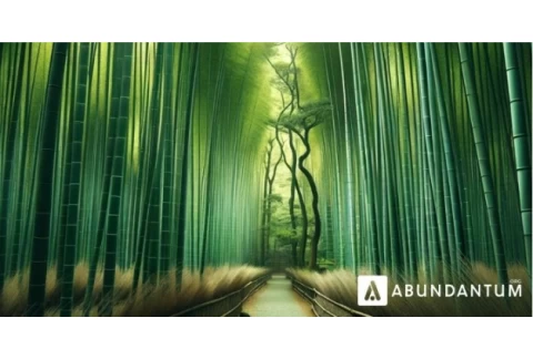 El Bambú Japones - Reflexión de Crecimiento personal de Álex Rovira Celma