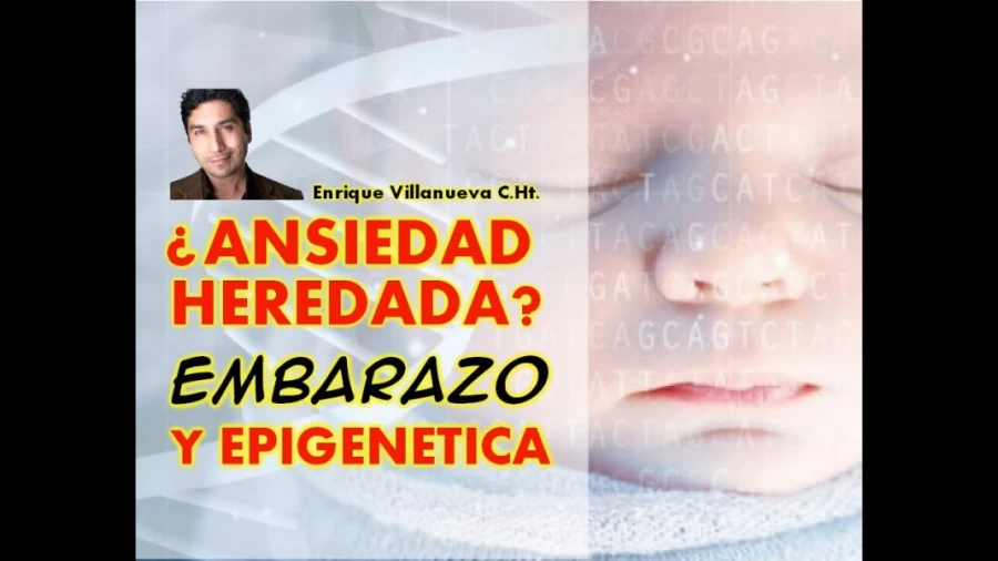 Imagen portada ¿ANSIEDAD HEREDADA?  EMBARAZO Y EPIGENETICA