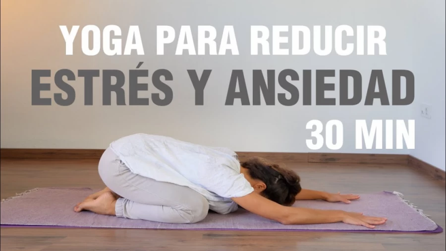 Imagen portada Yoga para estrés y ansiedad- Ideal para calmar el sistema nervioso y reducir el estrés- Anabel Otero