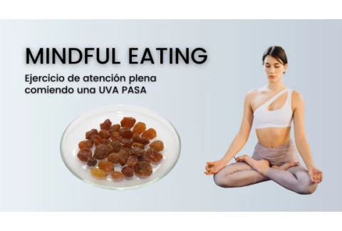 Ejercicio de la Uva pasa con Mindfulness (Atención plena) - Sesión 01 del programa MBSR