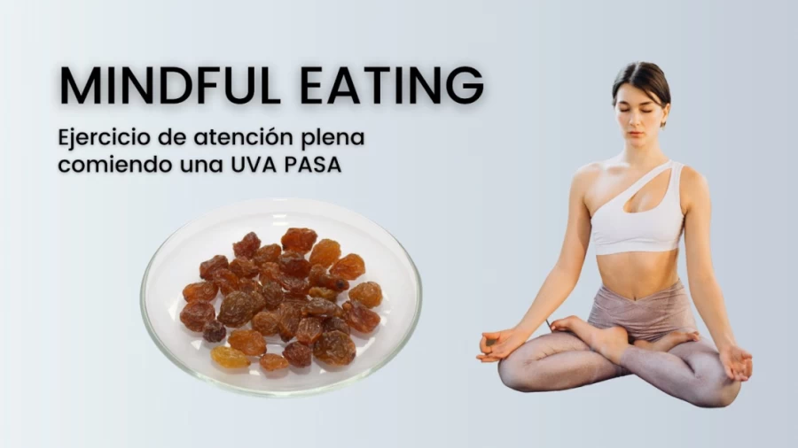Imagen portada Ejercicio de la Uva pasa con Mindfulness (Atención plena) - Sesión 01 del programa MBSR