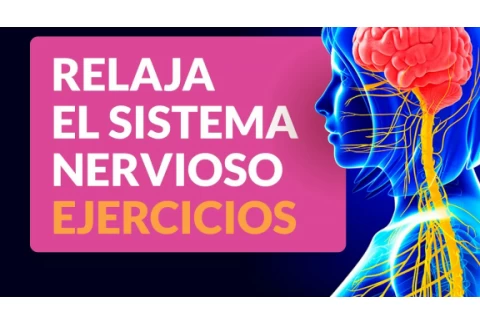 Los mejores ejercicios para relajar el sistema nervioso 💆