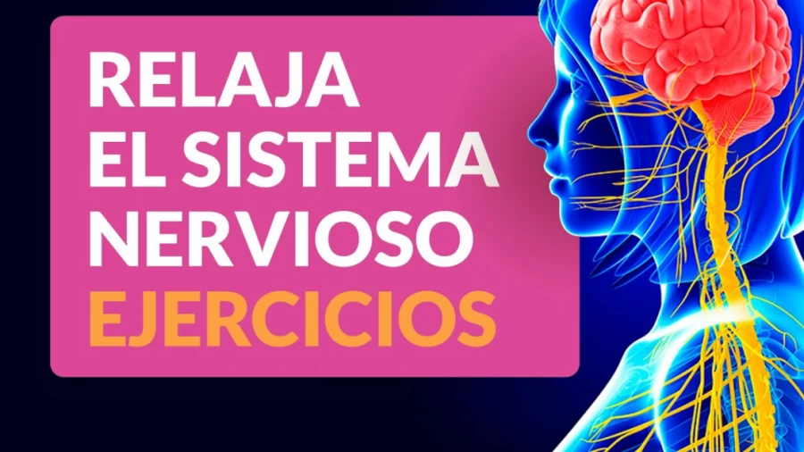 Imagen portada Los mejores ejercicios para relajar el sistema nervioso 💆