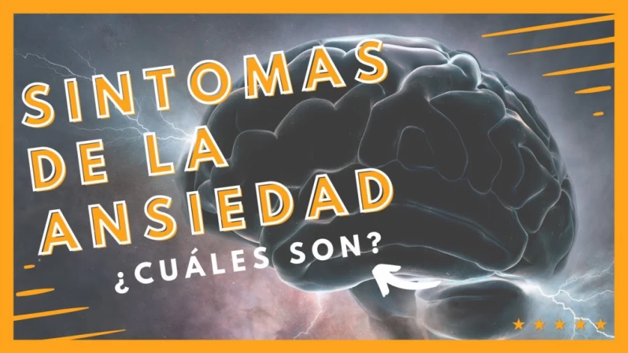 Imagen portada 🔴 ¿Cuáles son los SINTOMAS de la ANSIEDAD? 🧠⚠️ [VER AHORA] - Actualizado 2023