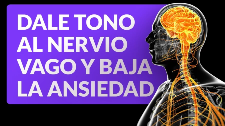 Imagen portada Ejercicios para darle tono al nervio vago y bajar la ansiedad