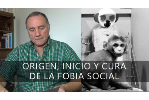 ORIGEN, INICIO Y CURA DE LA FOBIA SOCIAL