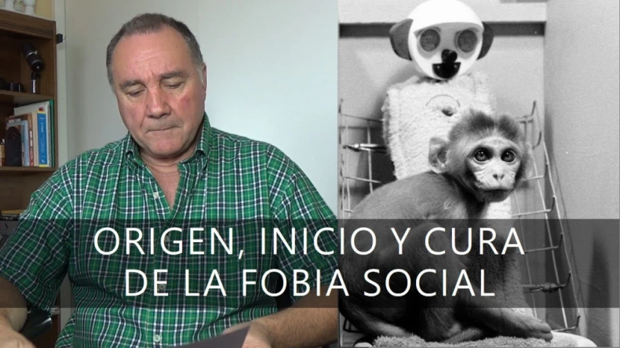 Imagen portada ORIGEN, INICIO Y CURA DE LA FOBIA SOCIAL