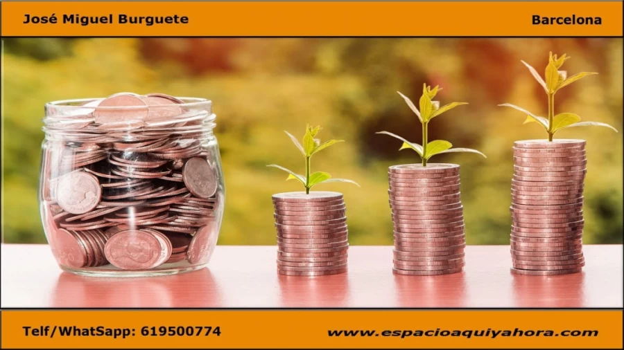 Imagen portada COMO SANAR MI RELACION CON EL DINERO A TRAVÉS DE LAS CONSTELACIONES FAMILIARES