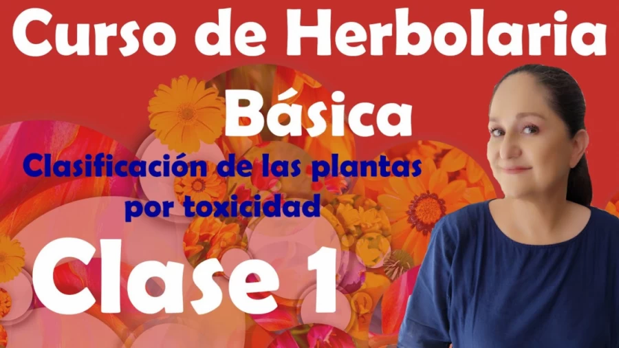 Imagen portada Curso de Herbolaria básica gratuito - clase 1 - Toxicidad de las plantas