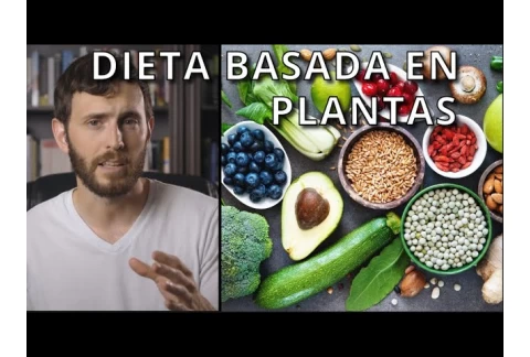 ¿Cómo hacer una DIETA BASADA EN PLANTAS CORRECTAMENTE?