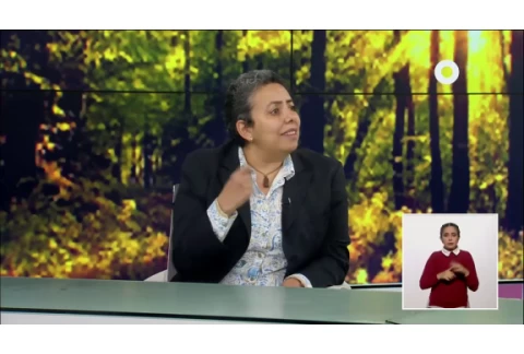 Hábitos saludables - La importancia del ocio y del tiempo libre (09/07/2020)
