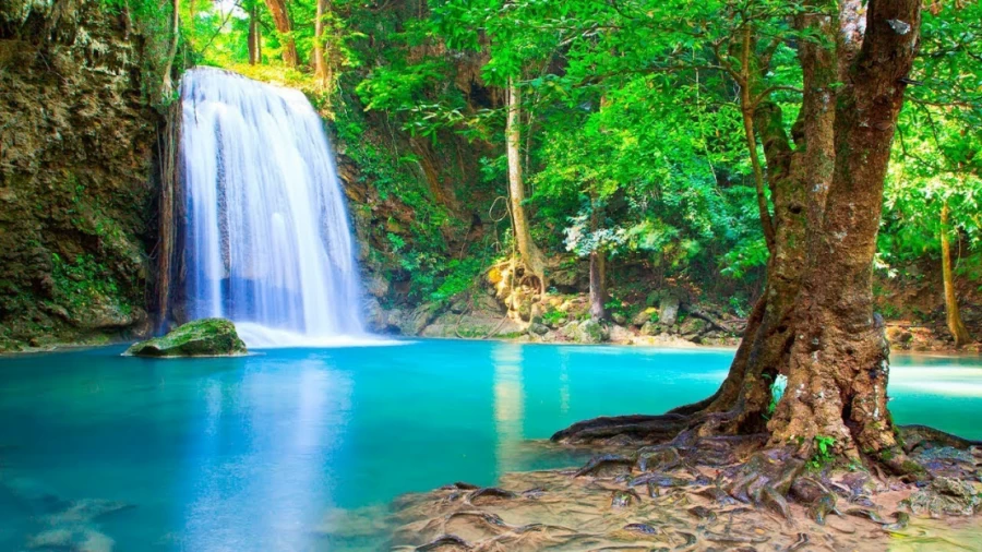 Imagen portada MÚSICA RELAJANTE ANTI ESTRES PARA CALMAR LA MENTE - MÚSICA PARA REDUCIR LA ANSIEDAD