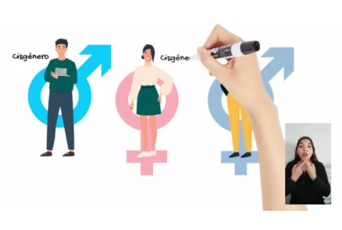 3 Identidad de Genero