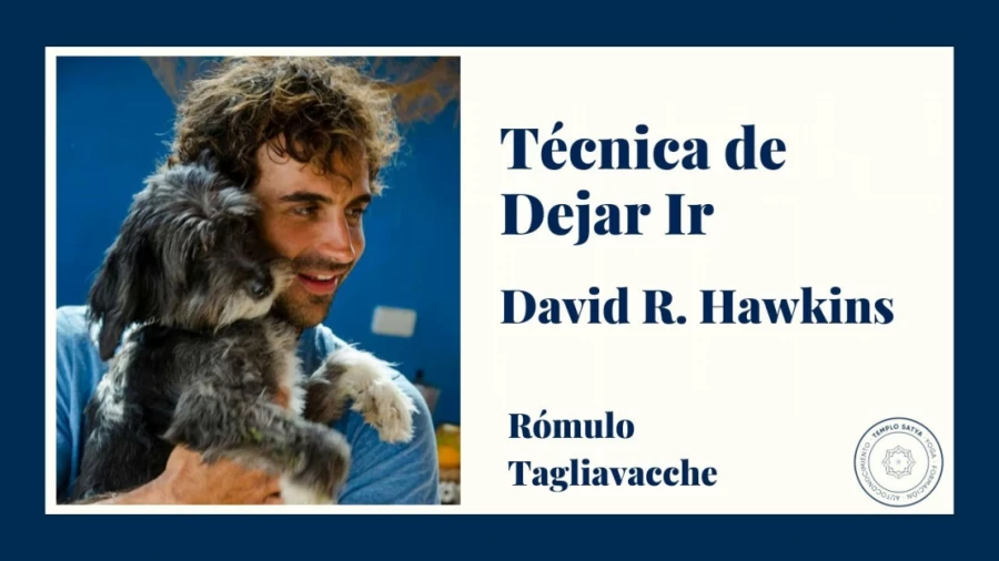 Imagen portada Técnica de Dejar Ir. David R. Hawkins I Rómulo Tagliavacche