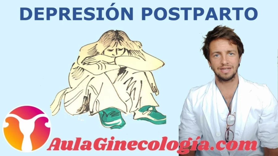 Imagen portada DEPRESIÓN POSTPARTO: tristeza, causas, diagnóstico, tratamiento...   - Ginecología y Obstetricia