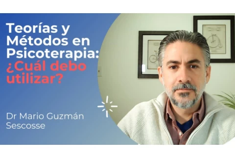 Teorías y Métodos en Psicoterapia: ¿Cuál debo usar?