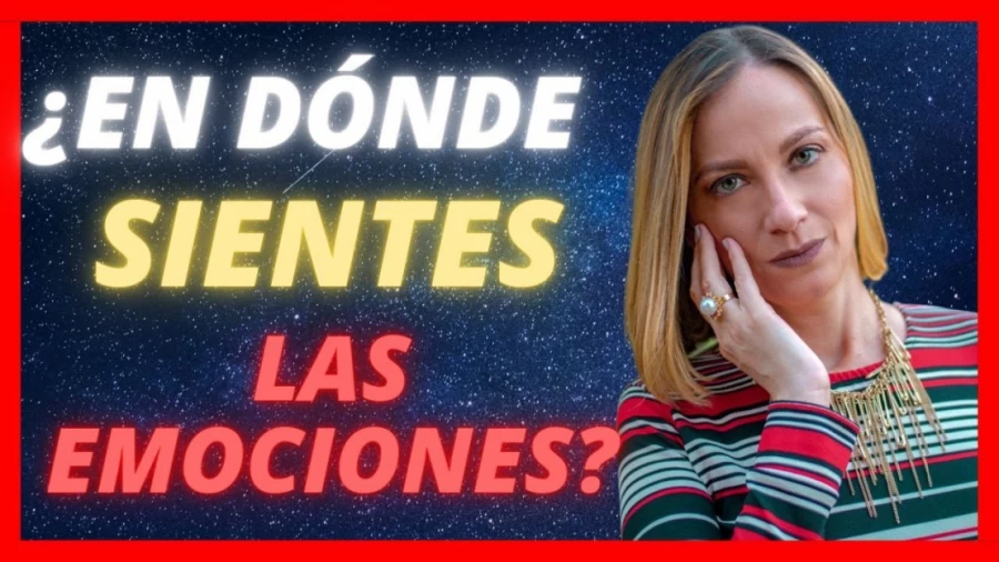 Imagen portada ¿QUE ES LA CONCIENCIA CORPORAL?