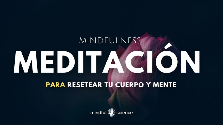 Imagen portada MEDITACIÓN➡ PARA RESETEAR TU CUERPO Y MENTE: CONSCIENCIA CORPORAL con Música~Mindfulness