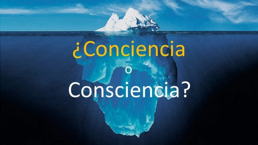Imagen portada Conciencia o Consciencia, ¿qué diferencia hay?