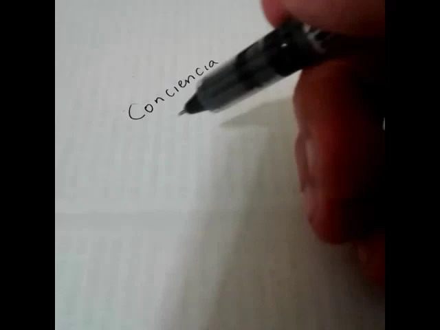 Imagen portada Diferencia entre conciencia y consciencia