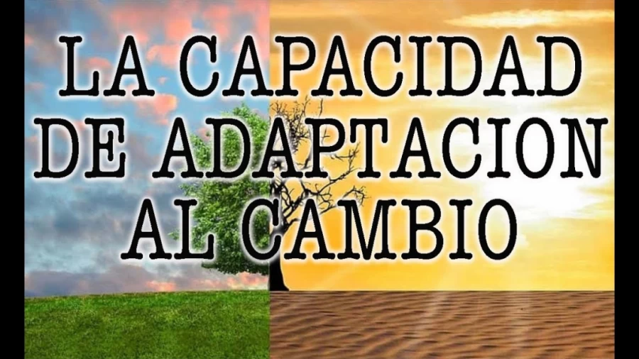 Imagen portada Jorge Bucay - La capacidad de adaptación al cambio