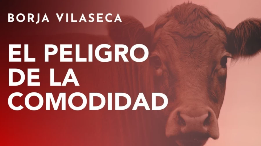 Imagen portada Sal de tu zona de CONFORT de forma proactiva | Borja Vilaseca