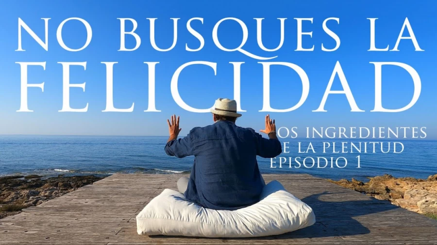 Imagen portada 🟢 No busques la felicidad -- Los ingredientes de la plenitud 1