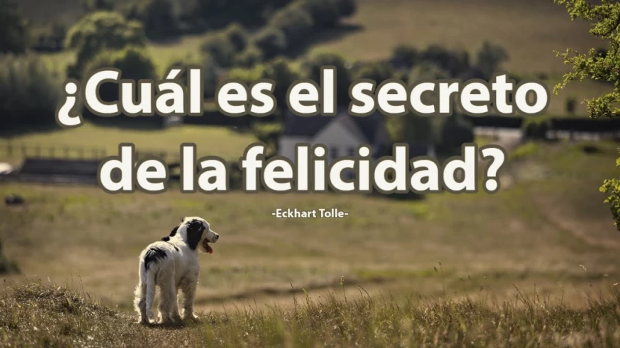 Imagen portada ¿Cuál es EL SECRETO DE LA FELICIDAD? - Eckhart Tolle
