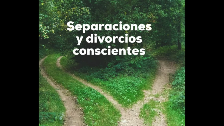 Imagen portada Separaciones y divorcios conscientes