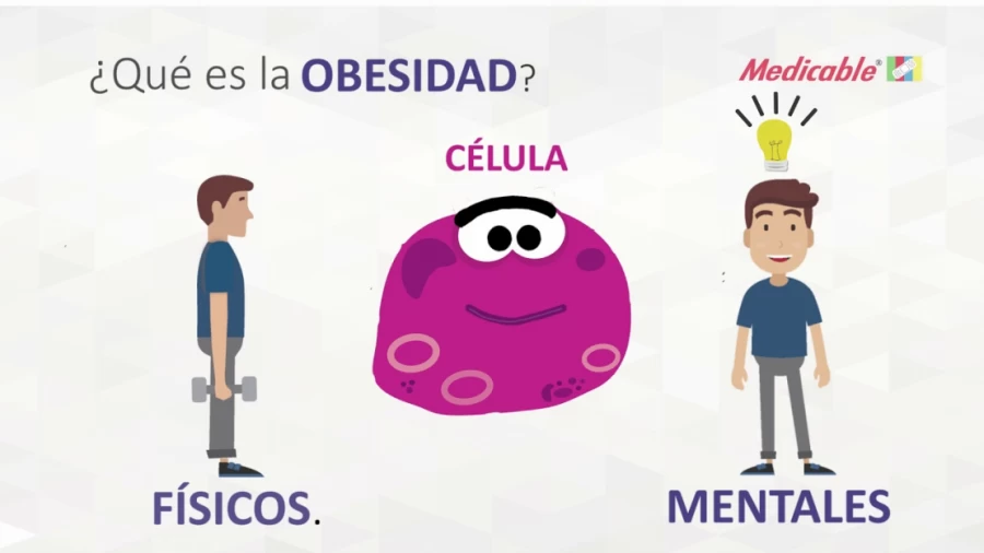 Imagen portada ¿QUÉ ES LA OBESIDAD?