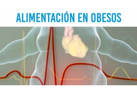 Alimentación en obesos para perder grasa