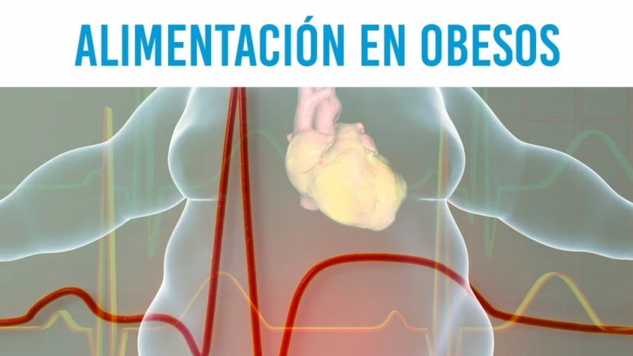 Imagen portada Alimentación en obesos para perder grasa