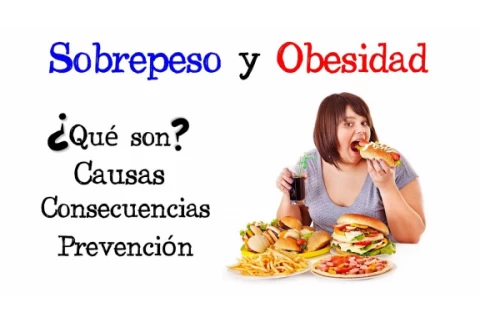 🍔 Sobrepeso y Obesidad 🍕 [Fácil y Rápido] | BIOLOGÍA |