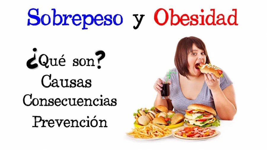Imagen portada 🍔 Sobrepeso y Obesidad 🍕 [Fácil y Rápido] | BIOLOGÍA |