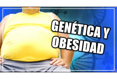 ¿Están relacionadas la genética y la obesidad? | CIENCIA A LA MEXICANA