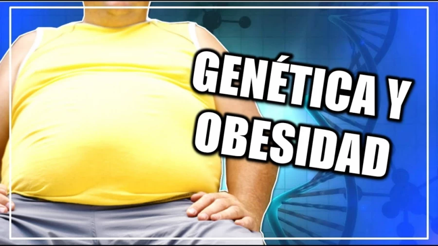 Imagen portada ¿Están relacionadas la genética y la obesidad? | CIENCIA A LA MEXICANA